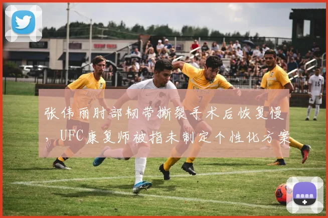 张伟丽肘部韧带撕裂手术后恢复慢,UFC康复师被指未制定个性化方案