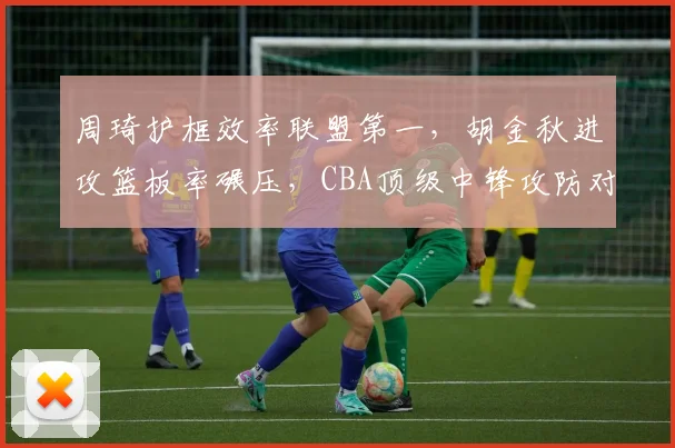 周琦护框效率联盟第一,胡金秋进攻篮板率碾压,CBA顶级中锋攻防对决解析