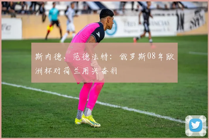 斯内德、范德法特：俄罗斯08年欧洲杯对荷兰用兴奋剂