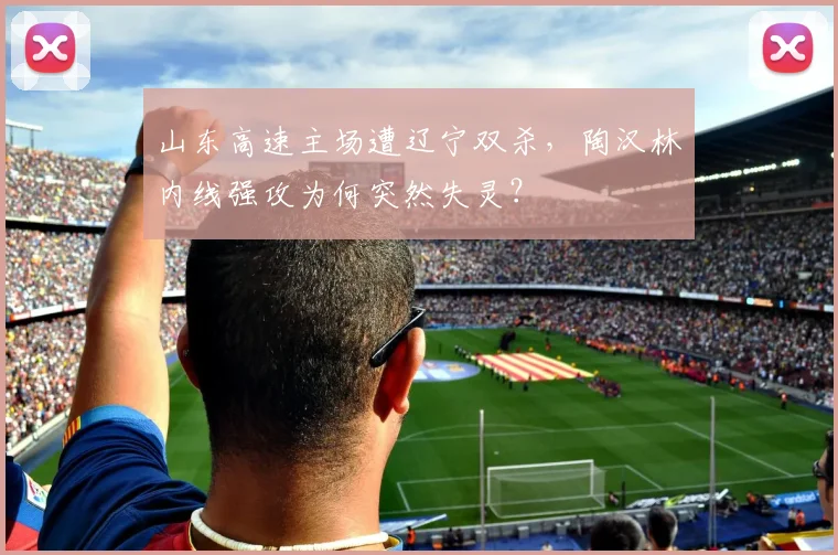山东高速主场遭辽宁双杀，陶汉林内线强攻为何突然失灵？